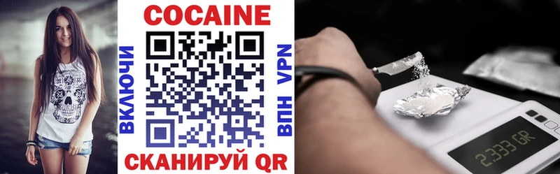 Cocaine FishScale  купить наркотики цена  Кириши 