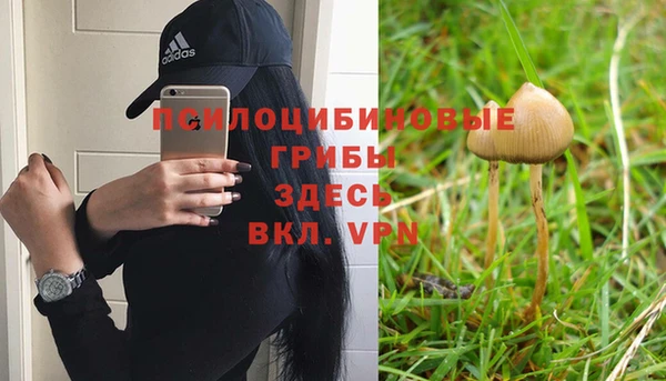 герыч Алексеевка