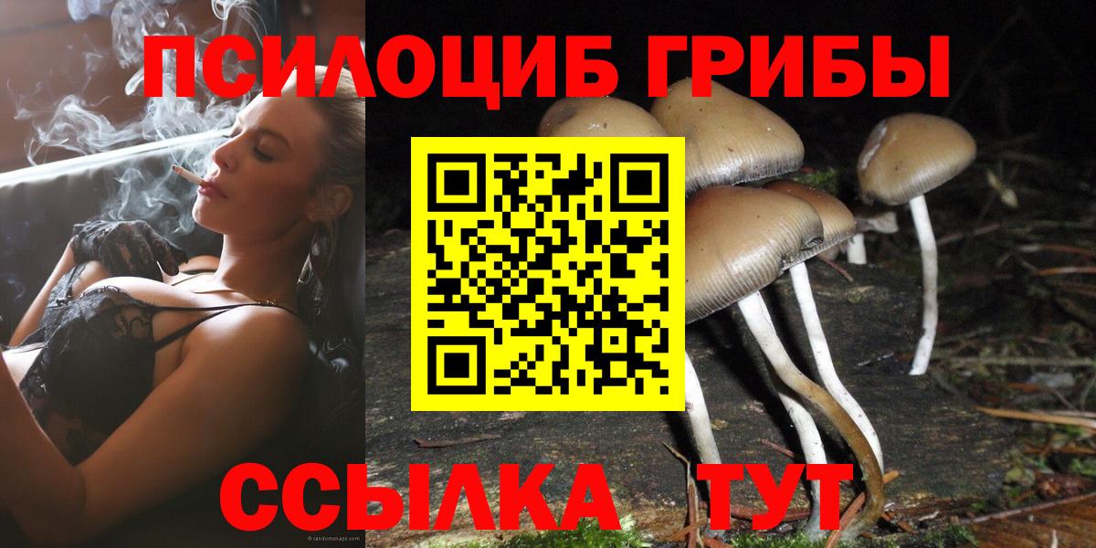 Псилоцибиновые грибы Cubensis Кириши