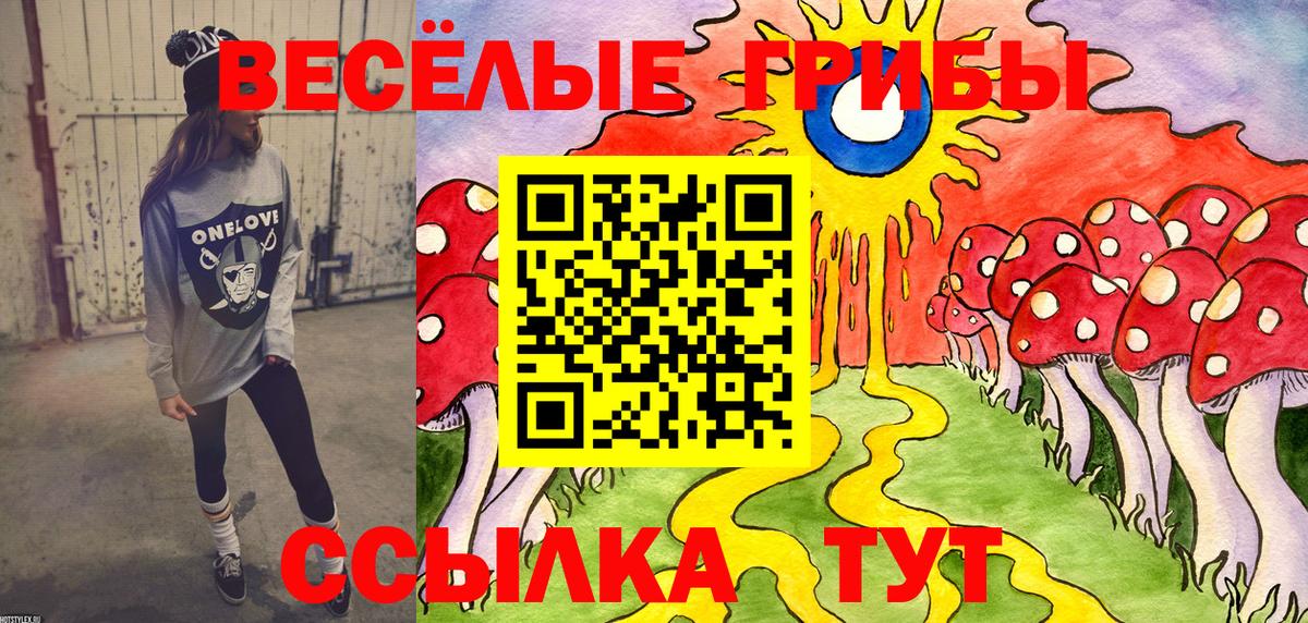 купить наркоту  Псилоцибиновые грибы ЛСД  Галлюциногенные грибы Psilocybe  Вход с VPN  Кириши 